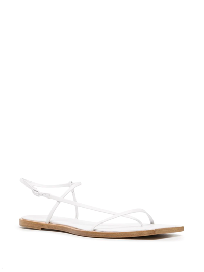 Studio Amelia Filament Square-toe Flat Sandals In White