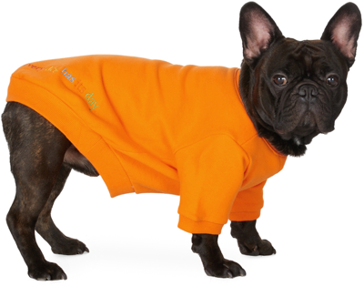 Shop Little Beast Orange 'the Lucky Orange' Sweatshirt