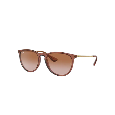 Shop Ray Ban Erika Classic Sunglasses Brown Frame Brown Lenses 54-18