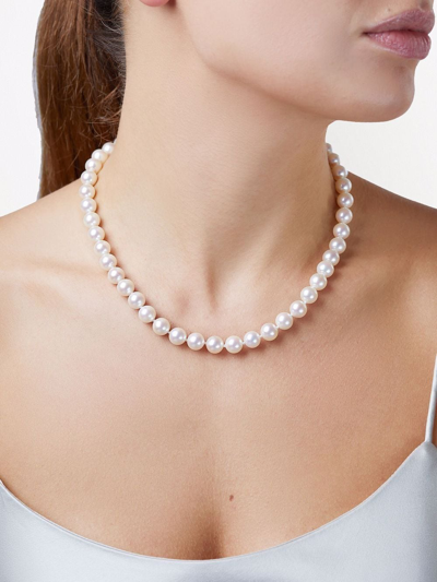 Yoko London 18kt Yellow Gold Classic 8mm Freshwater Pearl Necklace In Gold