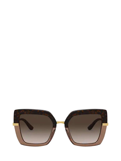 Shop Dolce & Gabbana Dg4373 Havana On Transparent Brown Sunglasses