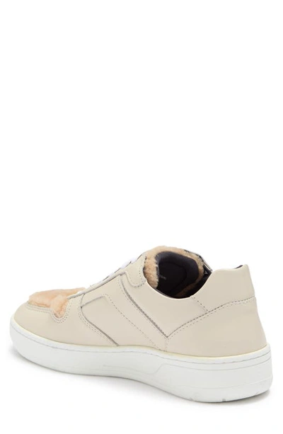 Aquatalia Anastasia Genuine Shearling Detail Sneaker In Off White