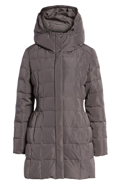 Shop Cole Haan Signature Cole Haan Hooded Down & Feather Jacket In Carbon