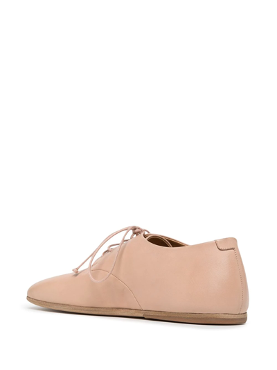 Shop Marsèll Square-toe Lace-up Shoes In Neutrals