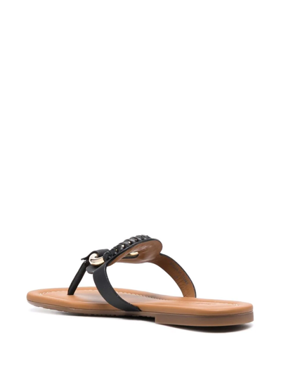 Shop See By Chloé Buckle-detail Leather Sandals In Black