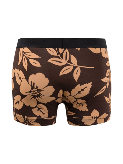 Shop Tom Ford Floral-print Boxer Briefs In Brown