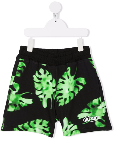 Shop Msgm Leaf-print Cotton Shorts In Black