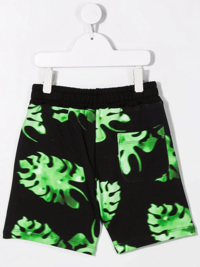 Shop Msgm Leaf-print Cotton Shorts In Black