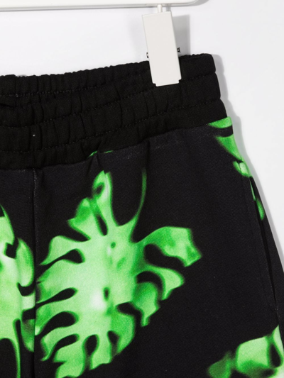 Shop Msgm Leaf-print Cotton Shorts In Black