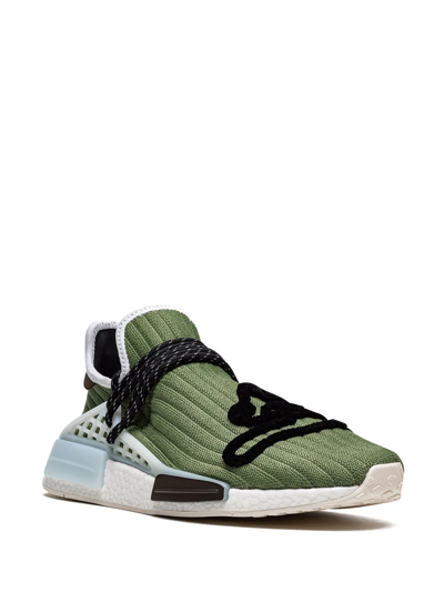 Adidas Originals X Pharrell X Billionaire Boys Club Human Made Sneaker In Green