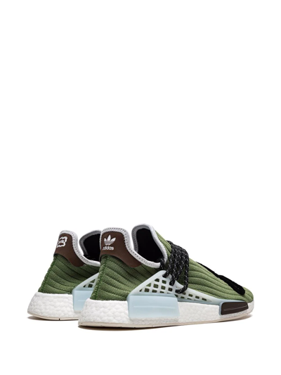Adidas Originals X Pharrell X Billionaire Boys Club Human Made Sneaker In Green