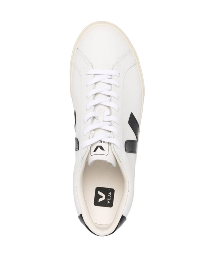 Shop Veja Esplar Leather Low-top Sneakers In Weiss