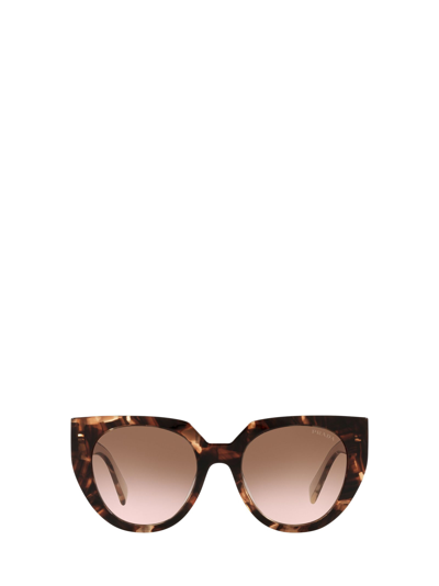Shop Prada Pr 14ws Caramel Tortoise/ Powder Sunglasses