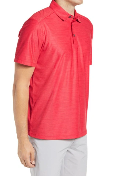 Shop Tommy Bahama Palm Coast Classic Fit Polo In Pink Plumeria
