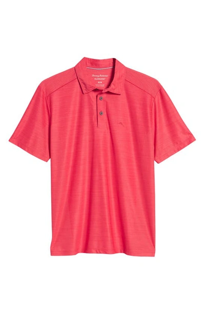Shop Tommy Bahama Palm Coast Classic Fit Polo In Pink Plumeria