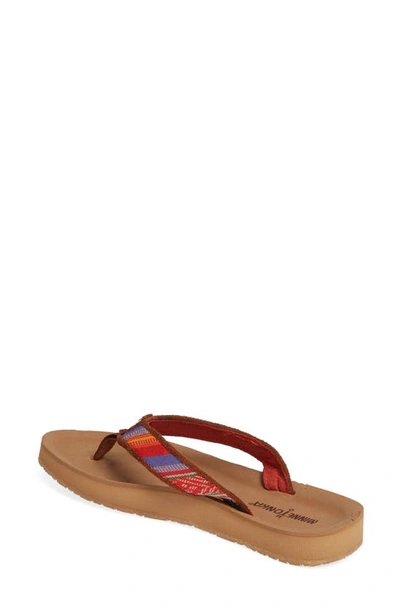 Shop Minnetonka Hedy Flip Flop In Frisco