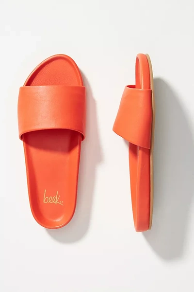 Shop Beek Gallito Slide Sandals In Orange
