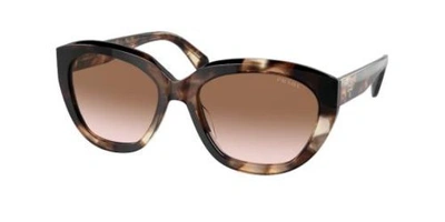 Shop Prada Brown Gradient Cat Eye Ladies Sunglasses 0pr 16xs 07r0a656