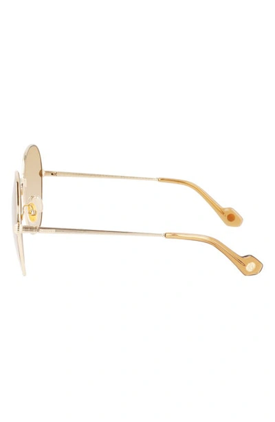 Shop Lanvin Arpege 59mm Tinted Round Sunglasses In Gold/ Caramel