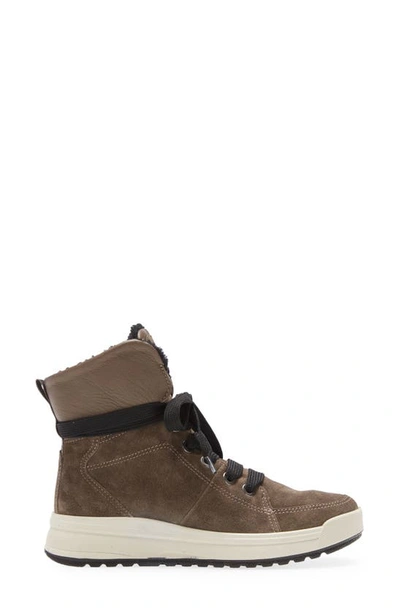 Shop Ara Albany Water Repellent Wool Lined Bootie In Taiga