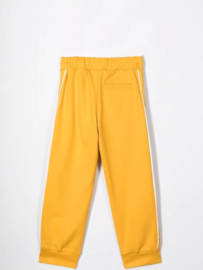 Shop Fendi Striped Trousers In Curry