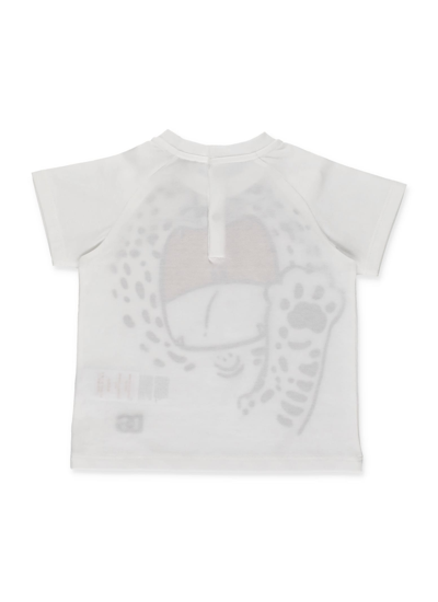 Shop Dolce & Gabbana Cotton T-shirt In Leopardo F.b.ottico