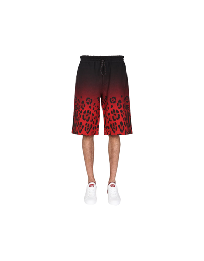 Shop Dolce & Gabbana Jogging Bermuda With Leopard Print In Animal Print
