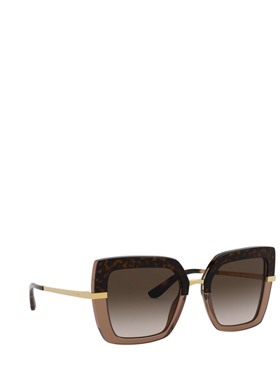 Shop Dolce & Gabbana Dg4373 Havana On Transparent Brown Sunglasses