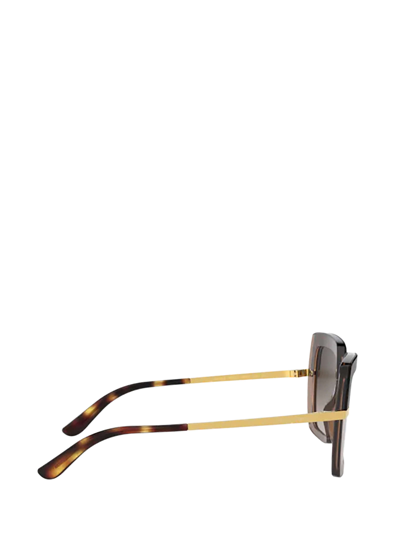 Shop Dolce & Gabbana Dg4373 Havana On Transparent Brown Sunglasses