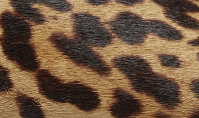 Shop Aerosoles Bette Pump In Leopard Print Combo Leather