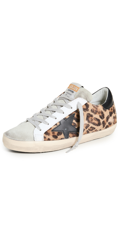 Shop Golden Goose Leopard Haircalf Superstar Sneakers In Beige Brown Leo/ice/black