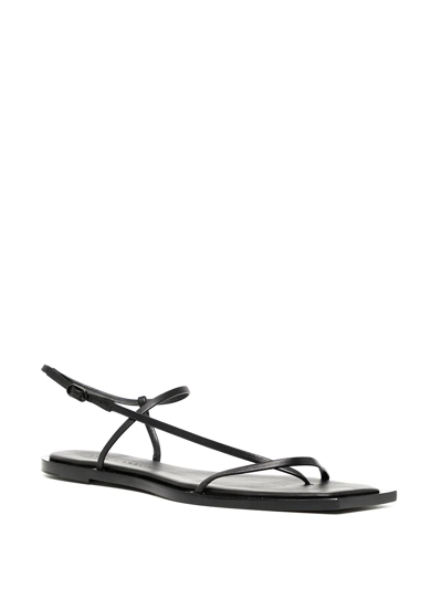 Studio Amelia Filament Squared Flat Flip Flops In Schwarz