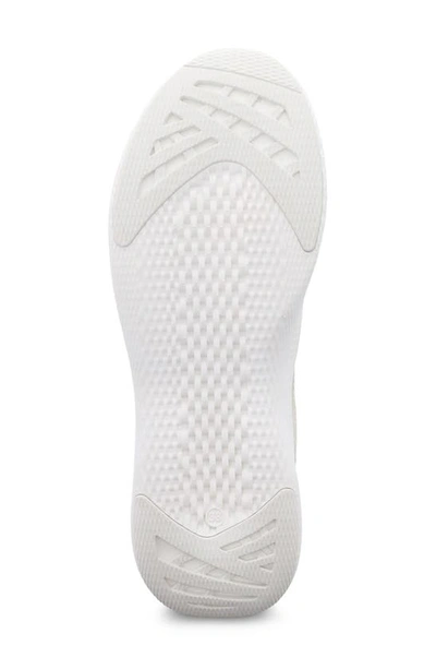 Dansko Sky Sneaker In Ivory Mesh