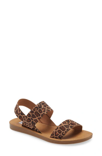 Shop Steve Madden Roma Sandal In Leopard Print