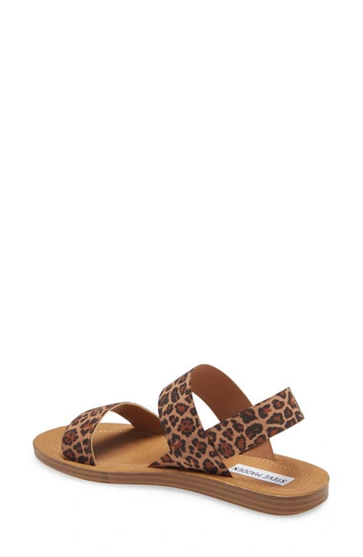 Shop Steve Madden Roma Sandal In Leopard Print