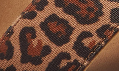 Shop Steve Madden Roma Sandal In Leopard Print