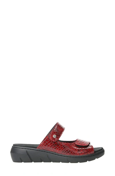 Shop Wolky Cyprus Sandal In Red Mini Croco Leather