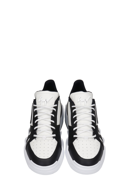 Shop Giuseppe Zanotti Talon Sneakers In Black And White Leather