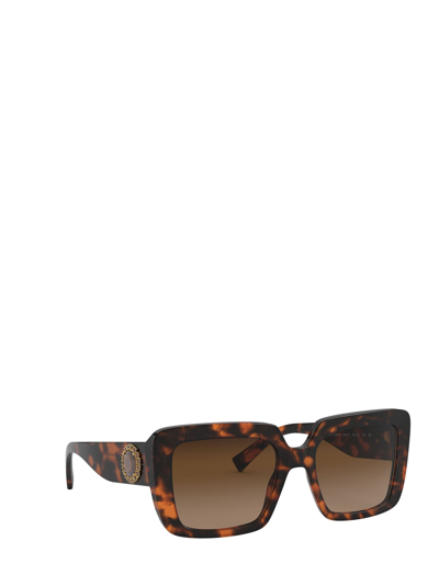 Shop Versace Ve4384b Havana Sunglasses