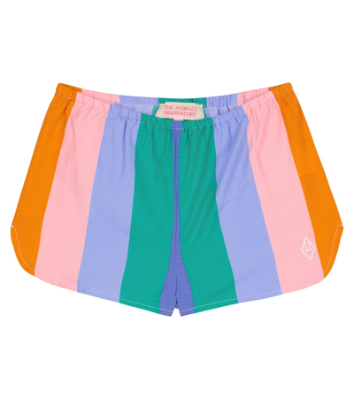 Shop The Animals Observatory Clam Striped Cotton Shorts In Multicoloured