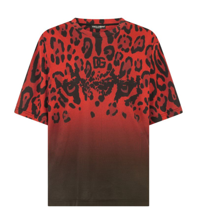 Shop Dolce & Gabbana Cotton Leopard Print T-shirt In Multi