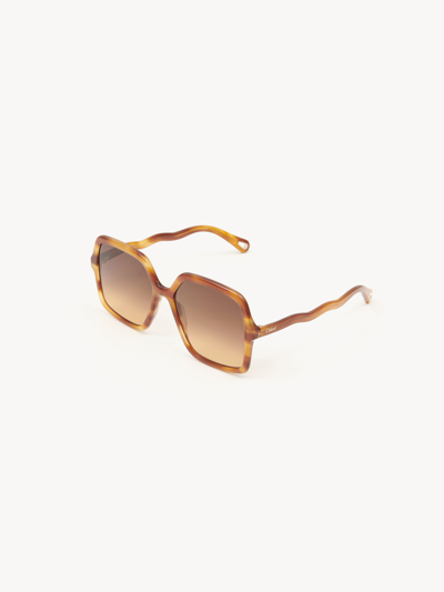 Shop Chloé Lunettes De Soleil Zelie Femme Brun Taille Onesize 100% Acétate