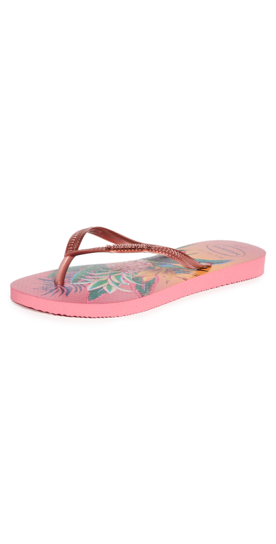 Shop Havaianas Slip Tropical Flip Flops In Pink Porcelain