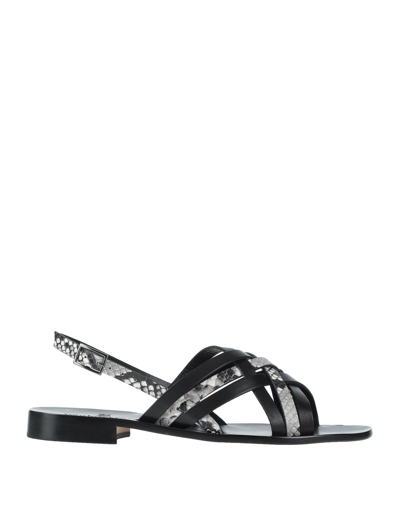 Shop Paolo Ferrara Woman Sandals Black Size 6 Soft Leather