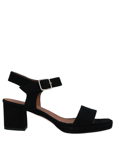 Shop Momoní Woman Sandals Black Size 10 Soft Leather