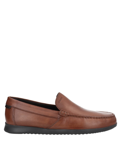 Shop Geox Loafers In Brown