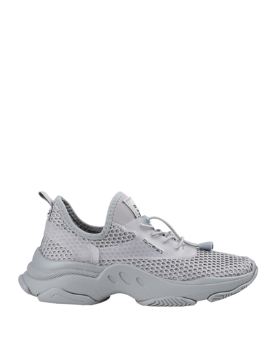 Shop Steve Madden Sneakers In Grey