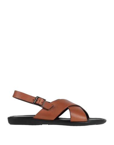 Shop Doucal's Man Sandals Tan Size 8 Calfskin In Brown