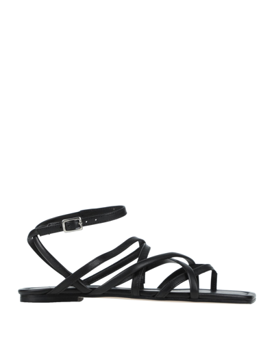 Vic Matie Vic Matiē Woman Thong Sandal Black Size 8 Soft Leather In Black