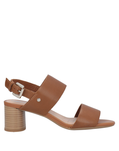 Shop Geox Woman Sandals Brown Size 10.5 Soft Leather, Textile Fibers